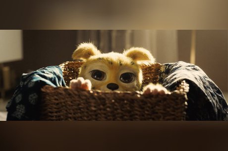 Марсупилами. Пушистый круиз