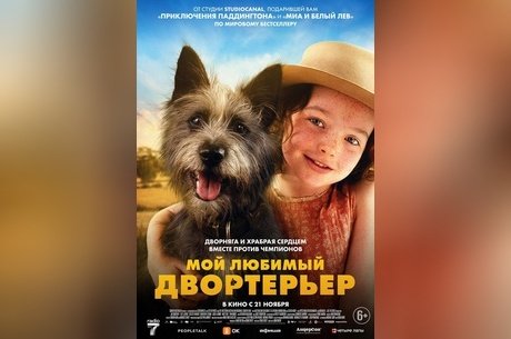 Мой любимый двортерьер