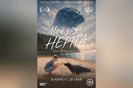 Мой друг нерпа