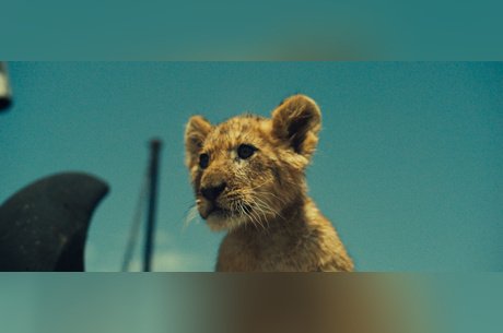 Король-львенок