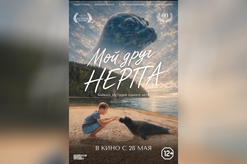 Мой друг нерпа