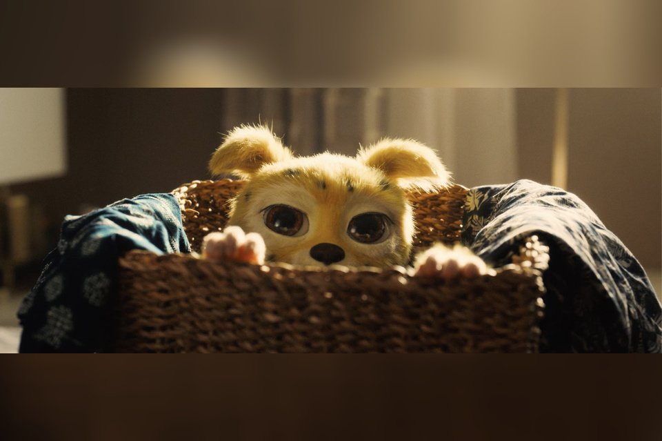 Марсупилами. Пушистый круиз